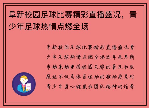 阜新校园足球比赛精彩直播盛况，青少年足球热情点燃全场